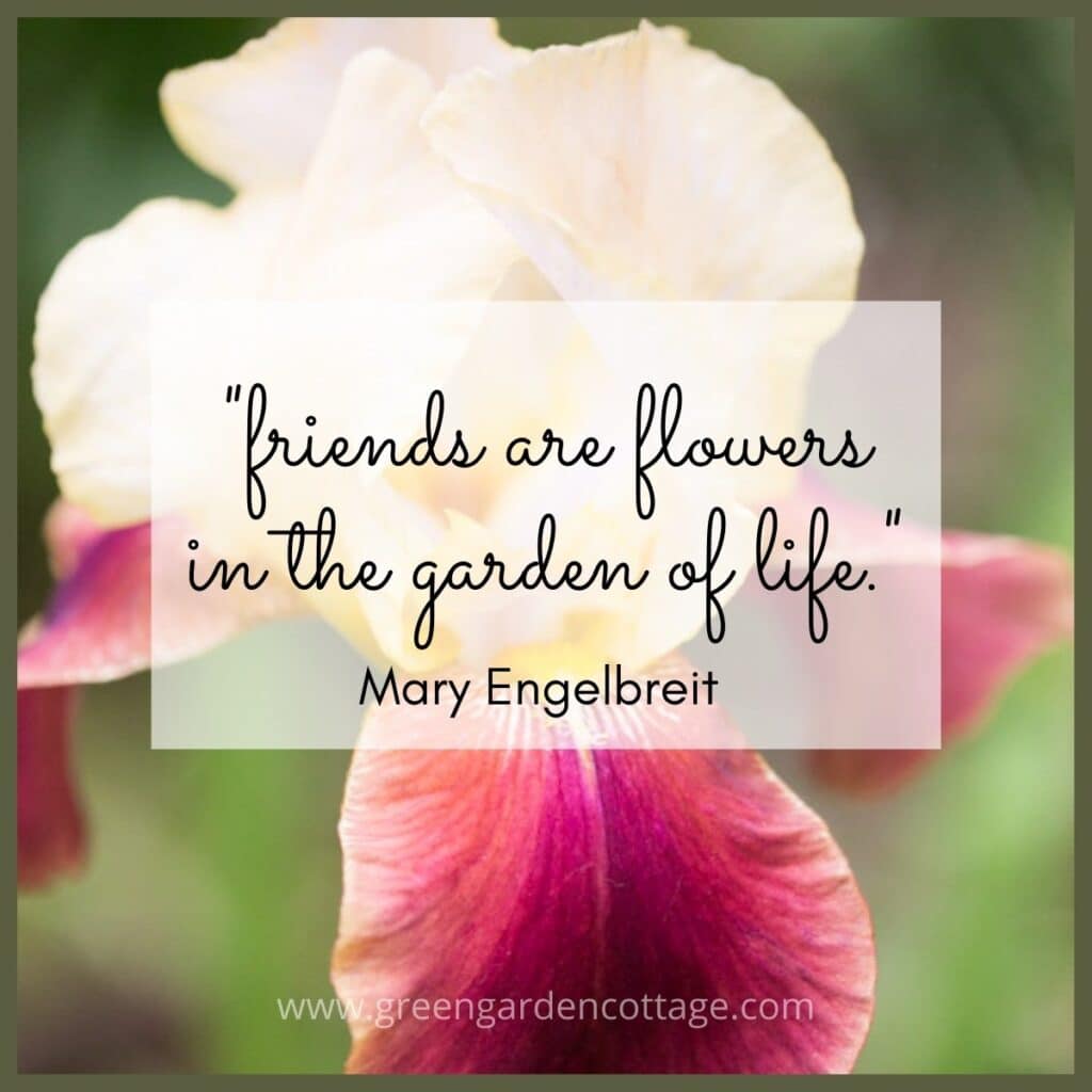 Quote by Mary Engelbreit.  Friends are flowers in the garden of life.  Bearded Iris photo beneath text. 