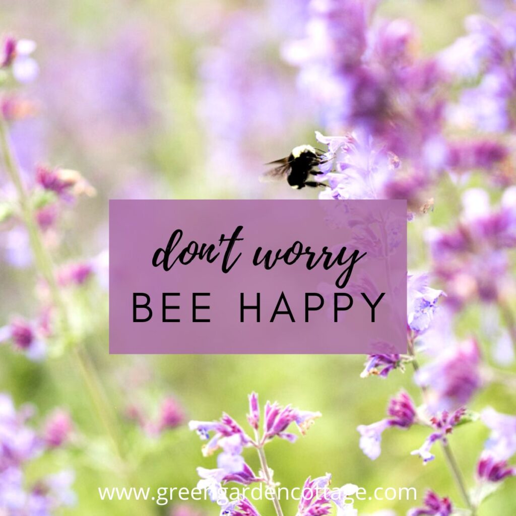 Flower quote which says don't worry bee happy.  Behind the quote text is a lavender field with a bee. 