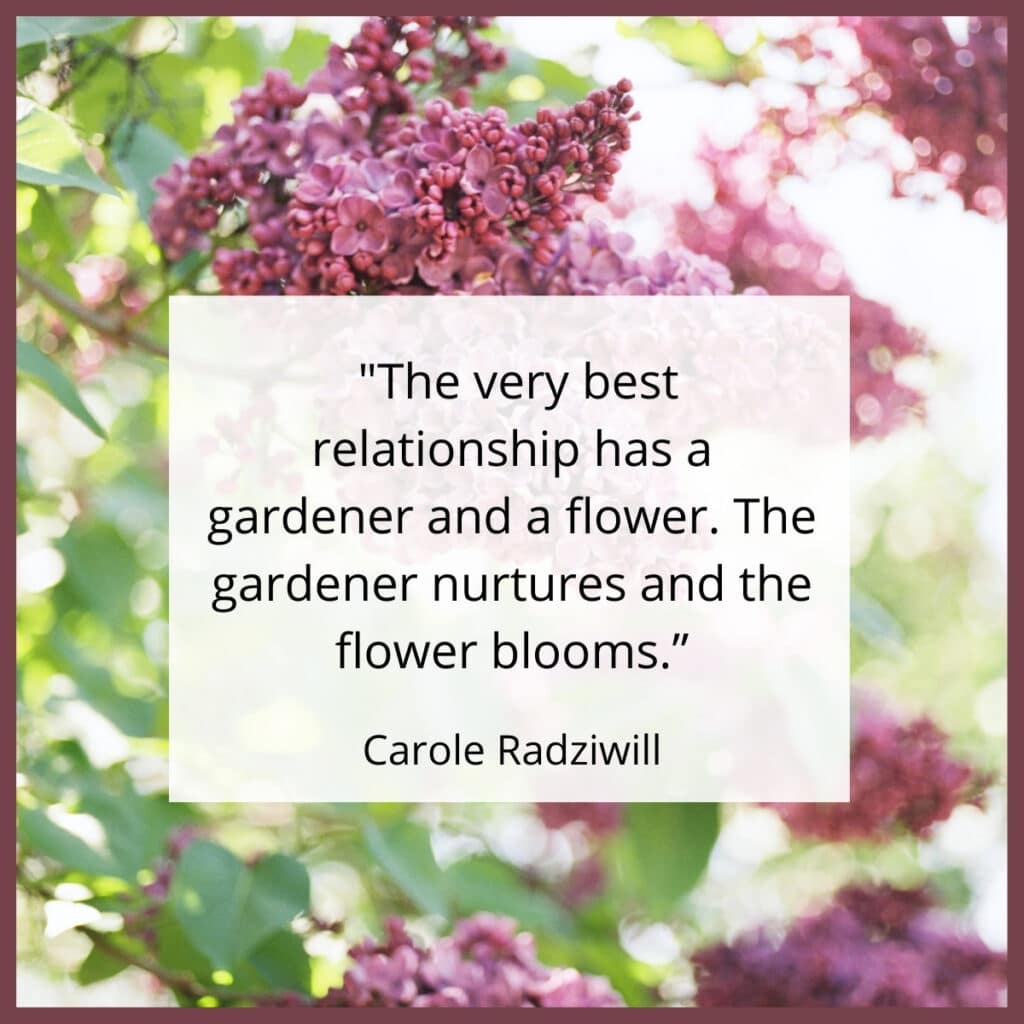 Carole Radziwill quote The very best relationship has a gardener and a flower.  The gardener nurtures and the blooms.