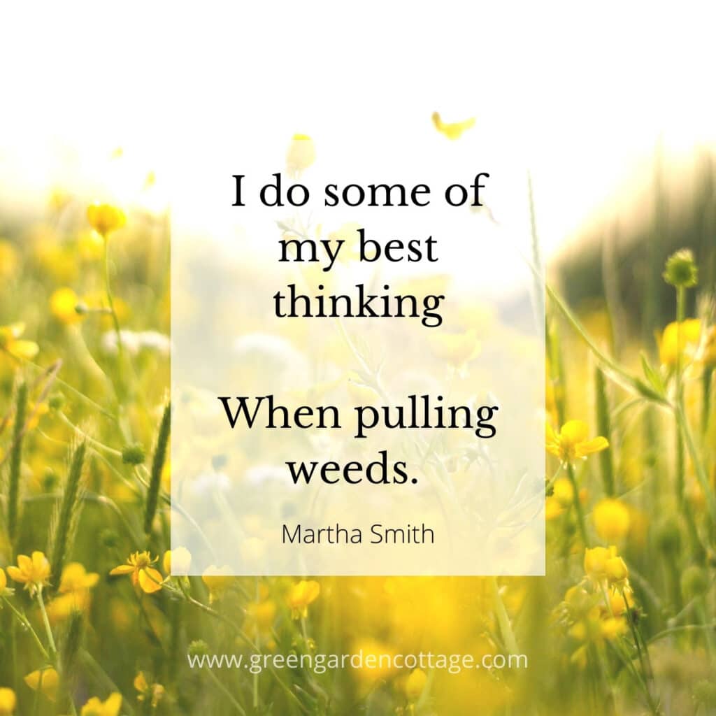 Martha Smith quote that says I do some of my best thinking when pulling weeds.  Yellow flowers behind quote text. 