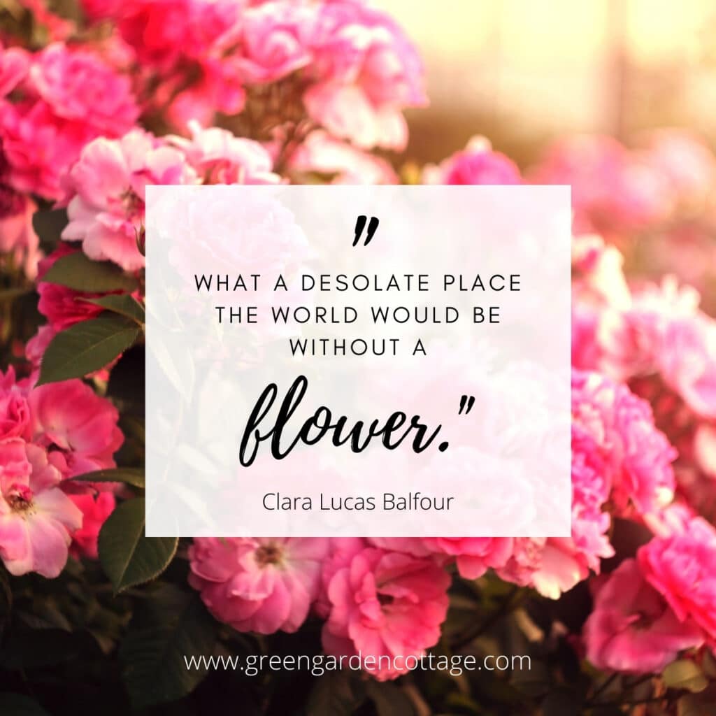 Quote by Clara Lucas Balfour what a desolate place the world would be without a flower with pink rose background.