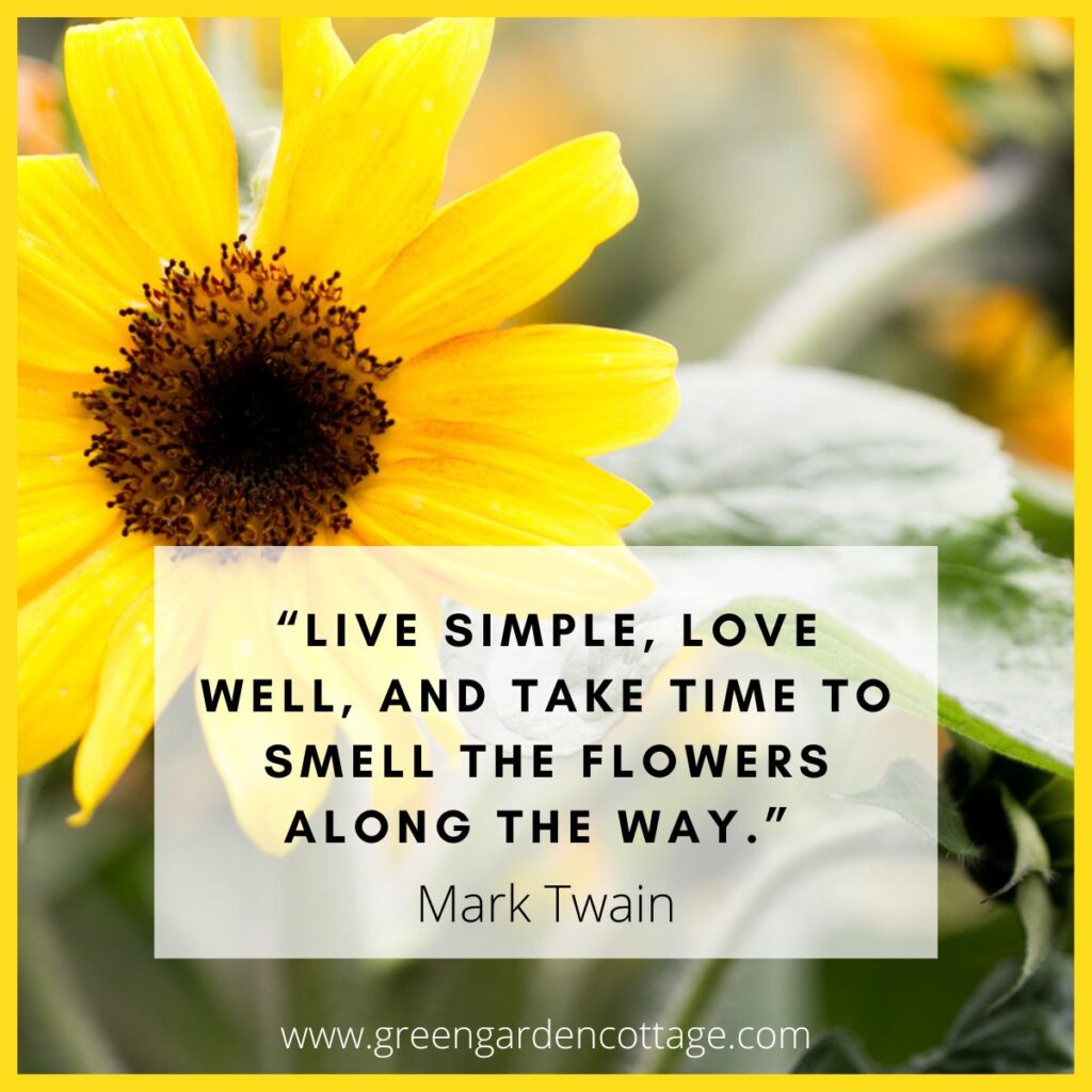 "Live simple, love well, and take time to smell the flowers along the way"   Mark Twain quote with sunflower background photo. 