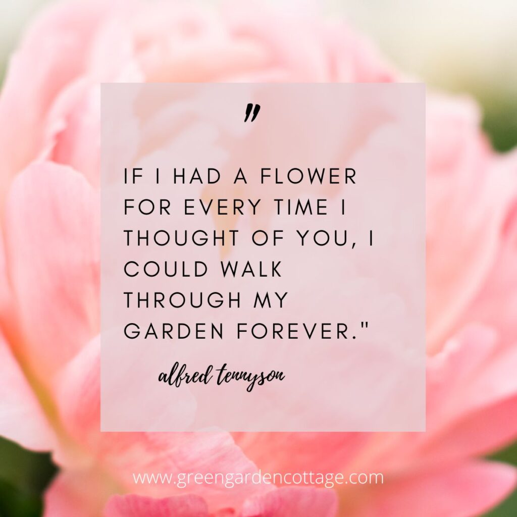 flower quotes about friendship