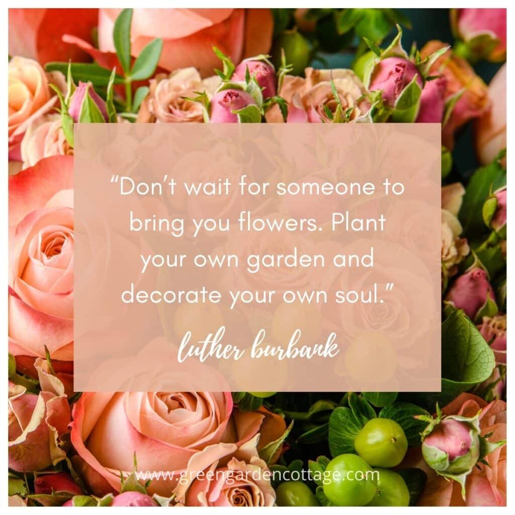 Luther Burbank quote which says don't wait for someone to bring you flowers.  Plant your own garden and decorate your own soul