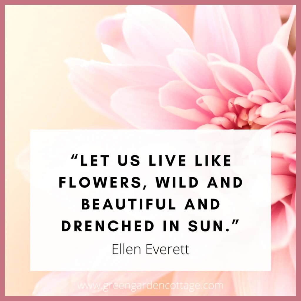 68 Of The Best Flower Quotes With Photos - Green Garden Cottage