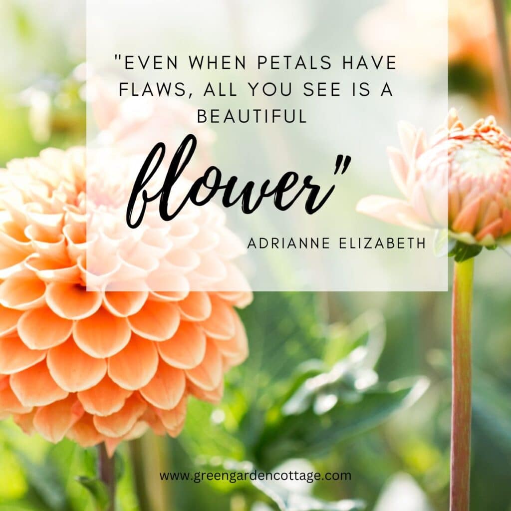 68 Of The Best Flower Quotes With