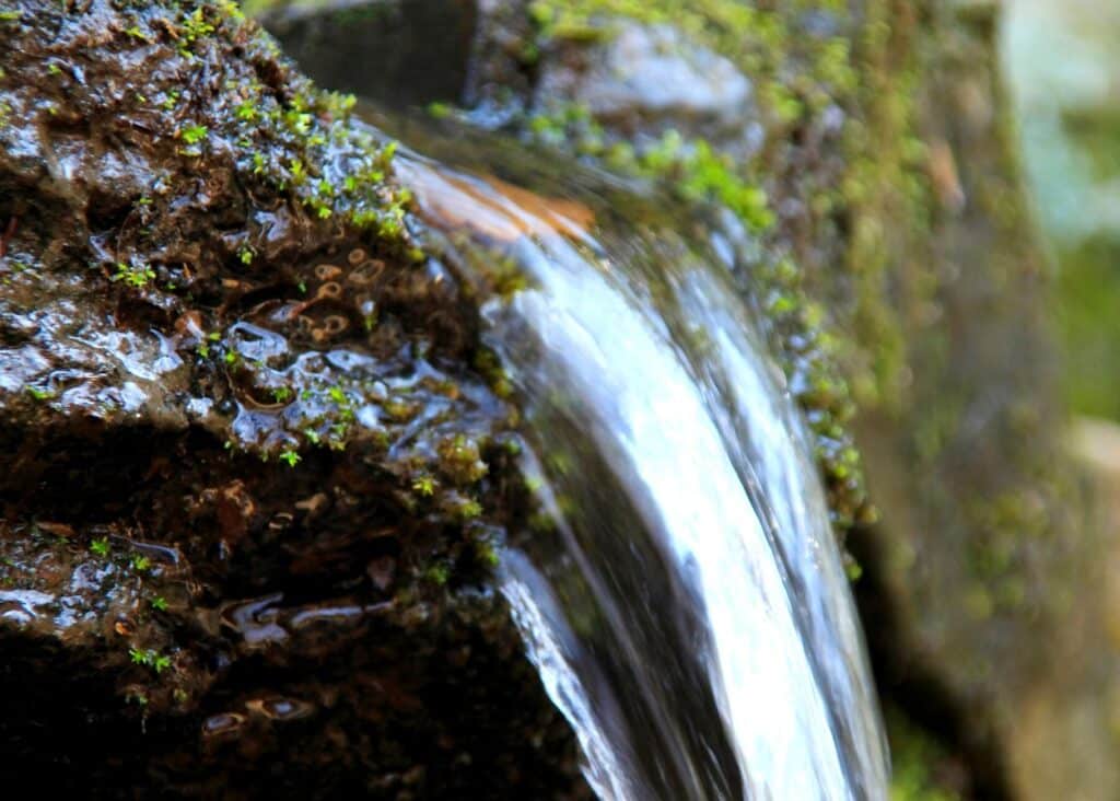 natural spring water flowing through rocks and being collected for houseplants