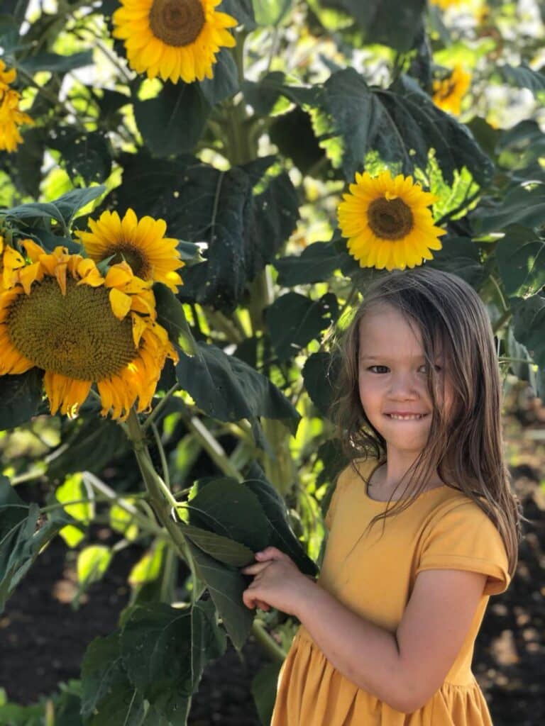 child in a sunflower field