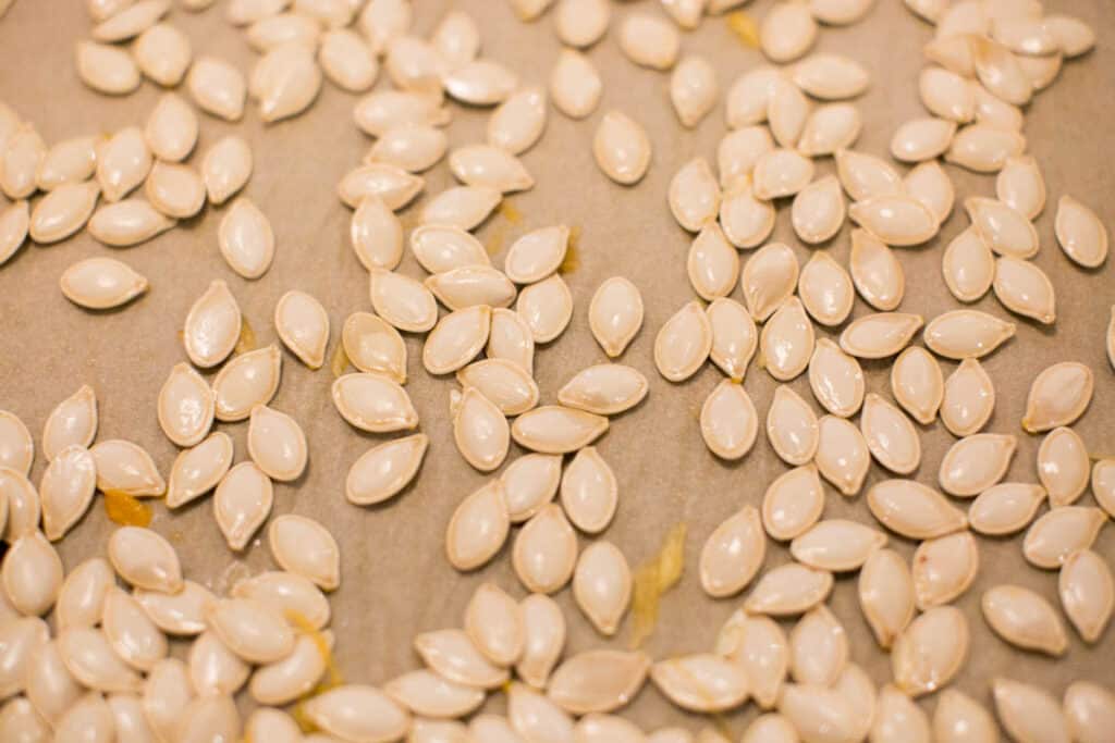 pumpkin seeds airing out